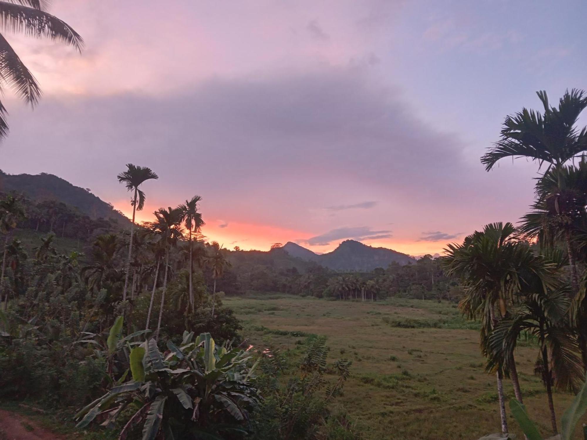 Rainforest Holiday Inn Deniyaya Eksteriør billede