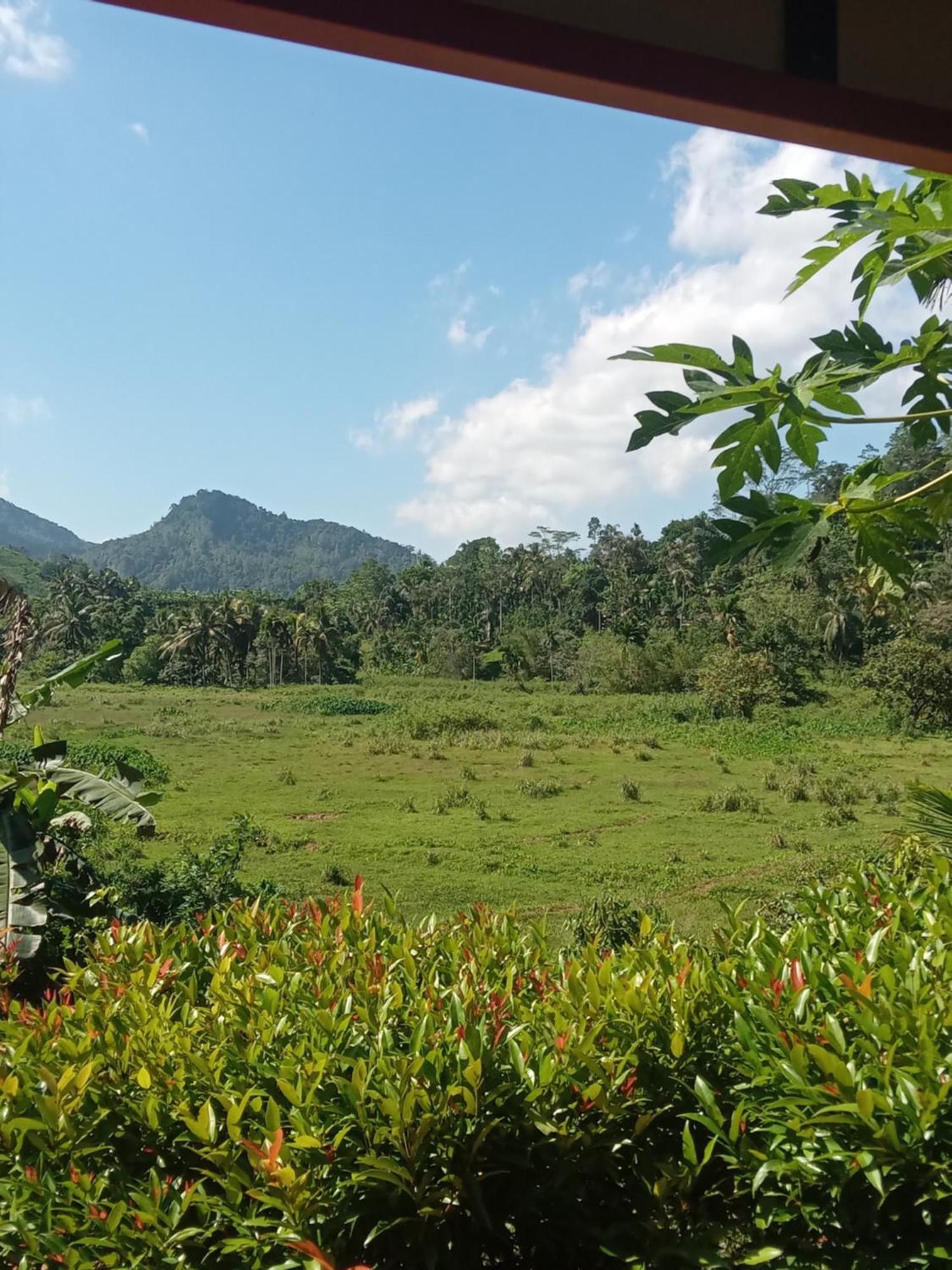 Rainforest Holiday Inn Deniyaya Eksteriør billede