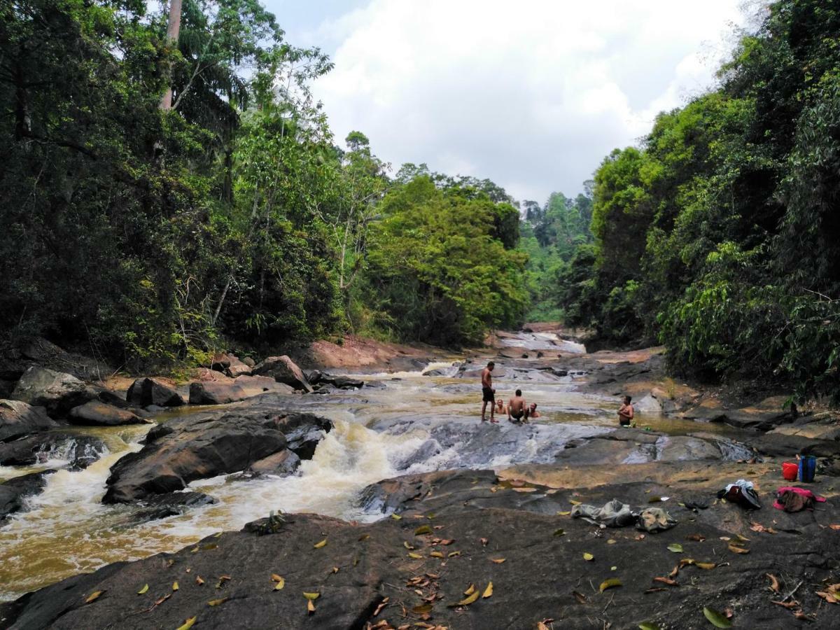 Rainforest Holiday Inn Deniyaya Eksteriør billede