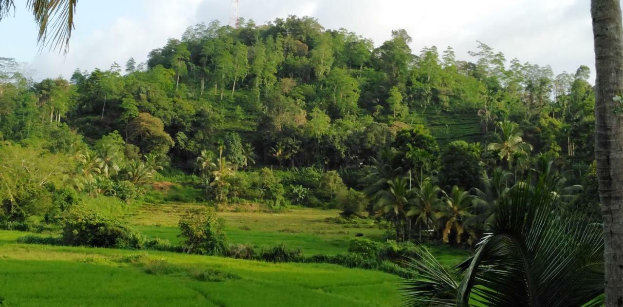 Rainforest Holiday Inn Deniyaya Eksteriør billede