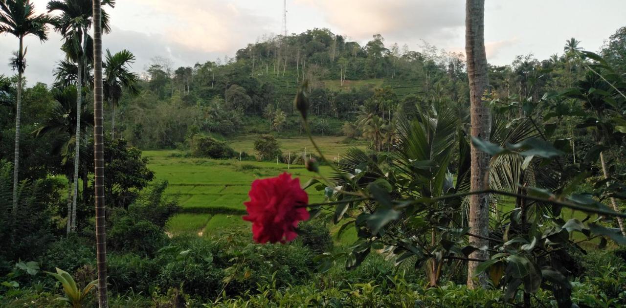 Rainforest Holiday Inn Deniyaya Eksteriør billede